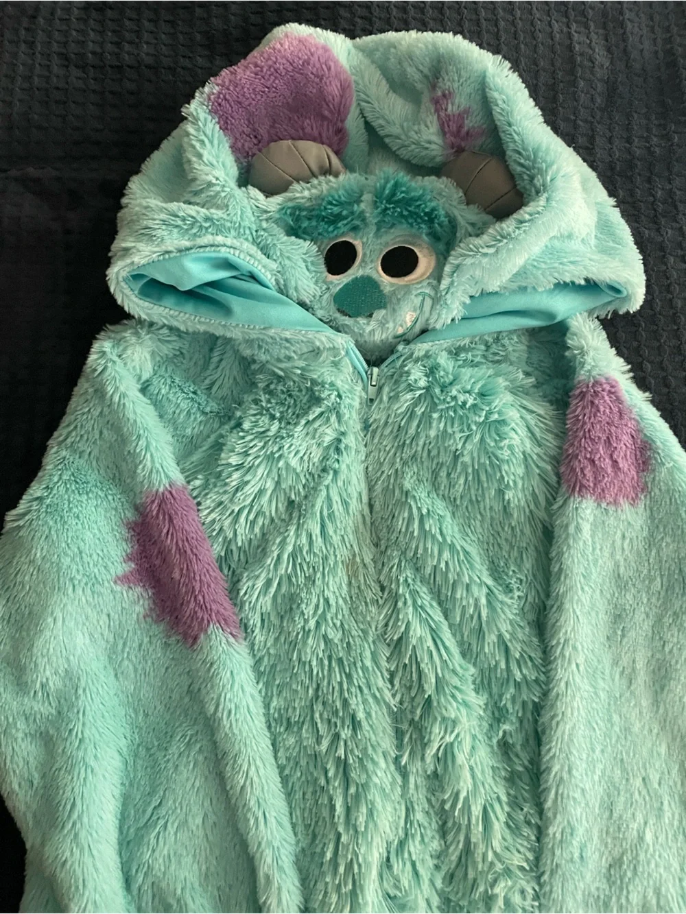 Monster’s Inc Disney Cozy Aqua and Purple Monster Hooded/Zip up kids Costume